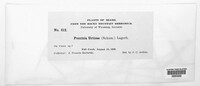 Image Associated With the Occurence